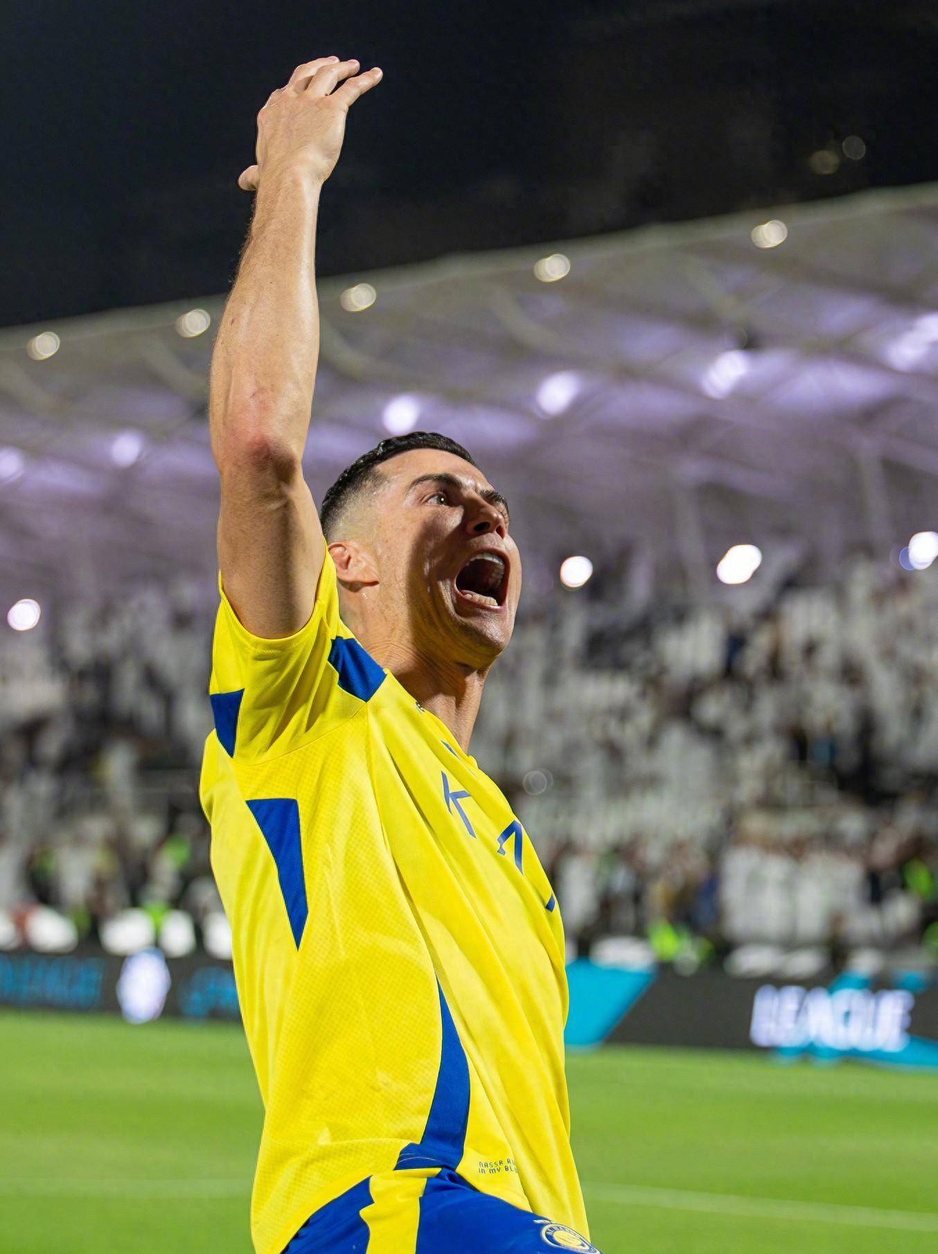 的全面提升 的全面提升